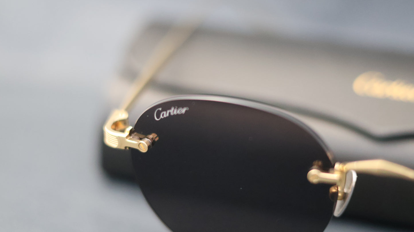 Cartier "CT0393S" Round Rimless Metal Glasses