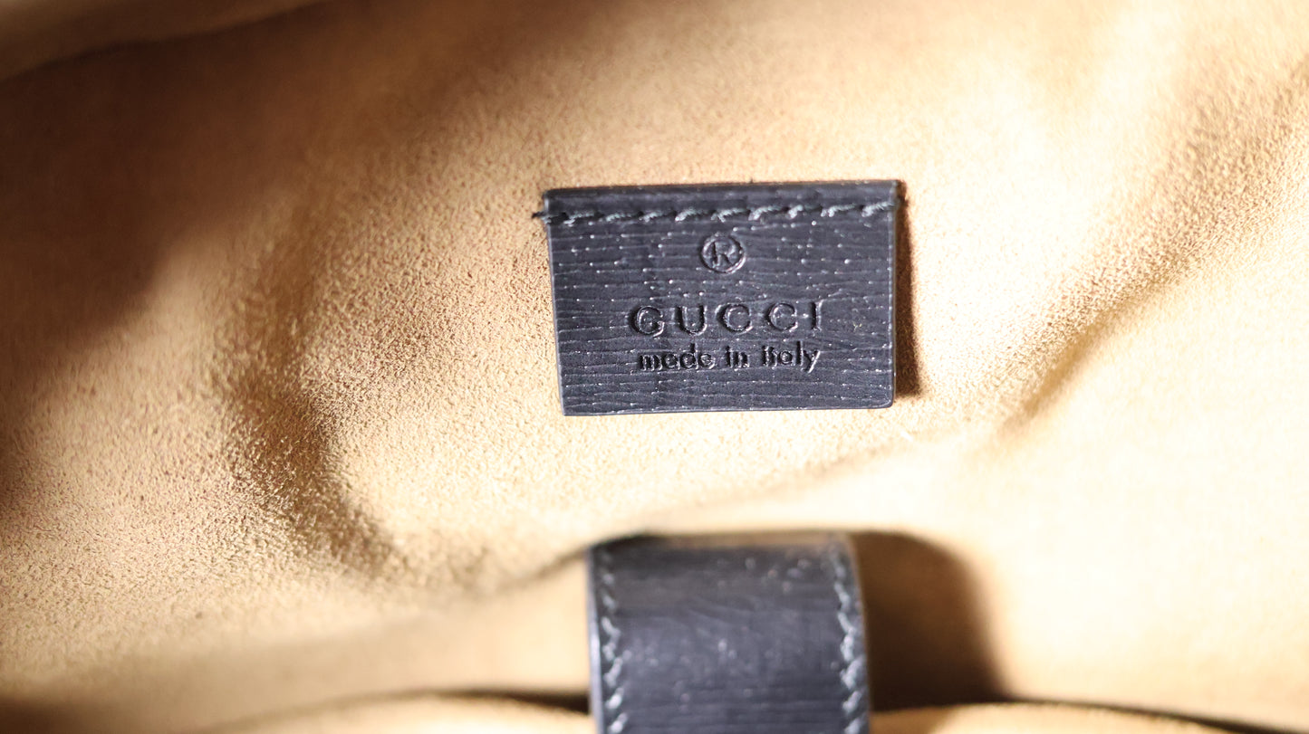Gucci Tian Backpack (RARE)
